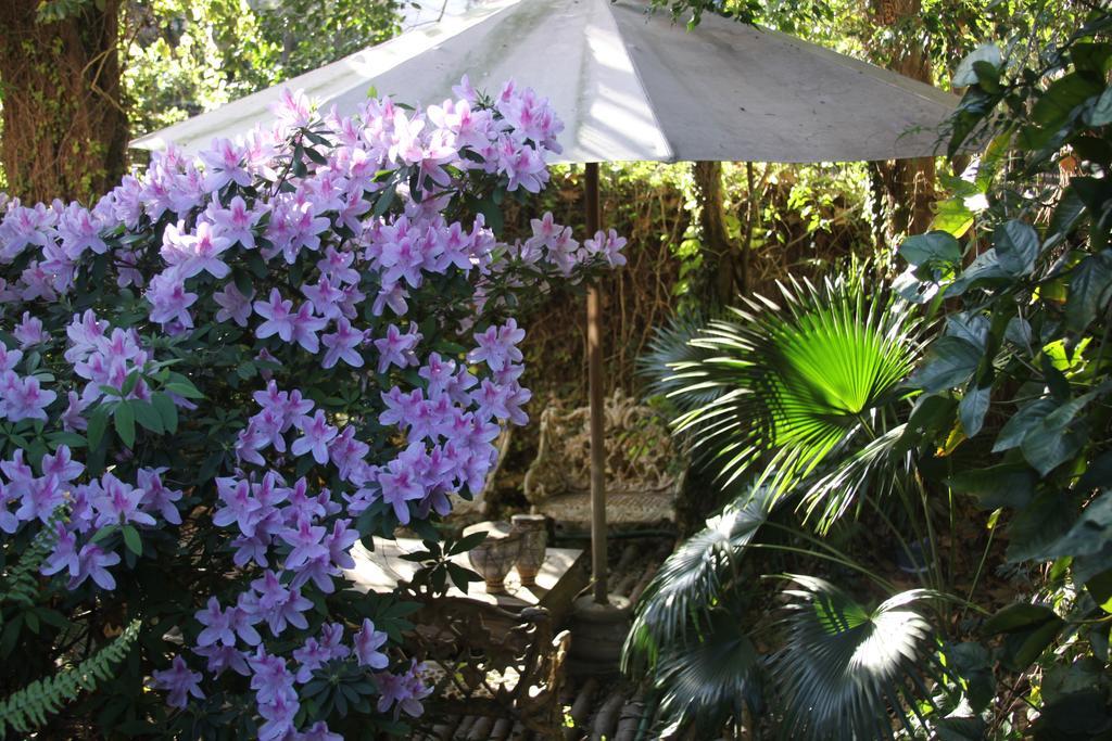 La Casona De Grace Bed and Breakfast Olivos Esterno foto