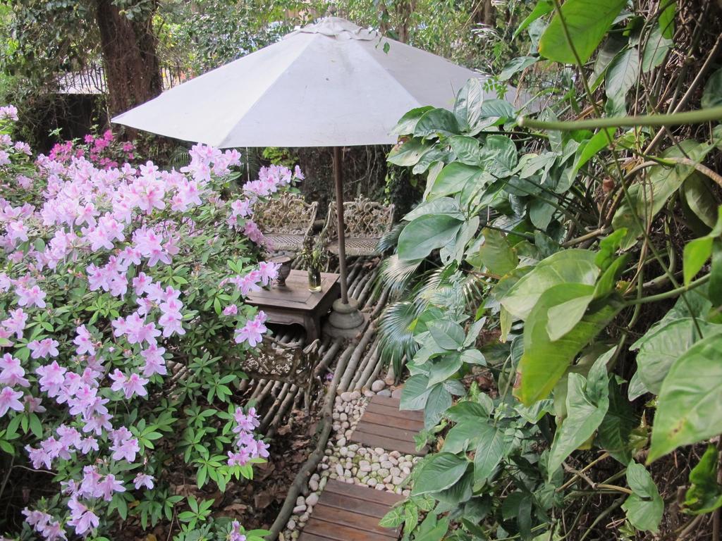 La Casona De Grace Bed and Breakfast Olivos Esterno foto