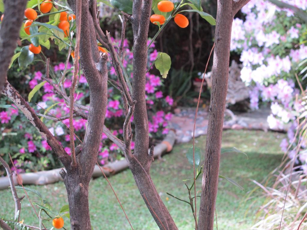 La Casona De Grace Bed and Breakfast Olivos Esterno foto